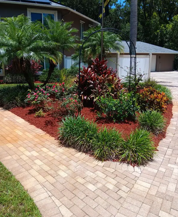Island bed with crotons, roses and ti plants around an iron arbor beside a paver driveway
