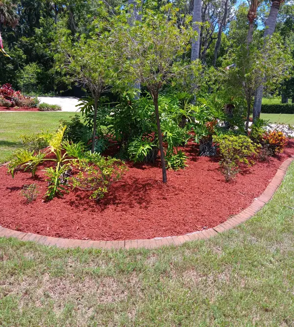Island bed with red mulch and curb edging under palms